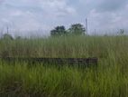 3 Katha Ready Plot Sell in Block N, Bashundhara 🌠