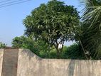 3 Katha Sale On 150ft Wide Road : Sector- 29 || Purbachal