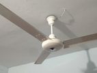 Click Ceiling Fan 56''