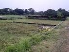 ৩ শতক জমি বিক্রয় হবে