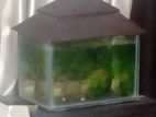 Aquarium Sell Hobe