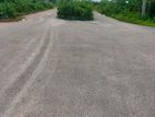 30/54ft Cornar 5 Katha Forest Facing-Sec-25