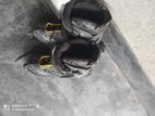 Sketting shoe for sell