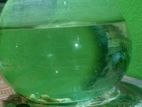 Aquarium for sale