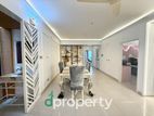 3000 SFT Luxarious Brand new Full Furnished apartment rent at 3rd floor