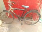 Bicycle for sell