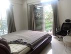3050sqFt.Luxurious Full Furnish Apartment Rent at Gulshan 2
