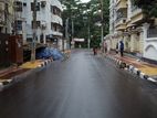 30ft Rd 5 Katha Park South at Sector- 13