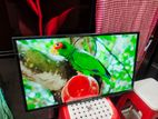 32" ডাবল গ্লাস Android Smart LED TV