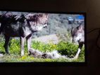 32" LED TV