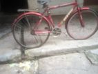 Bicycle for sell