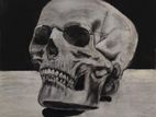 3D hyper Realistic monochrome skull by Charcoal portraitist