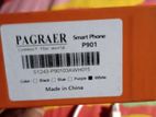 PAGRAER P901 (Used)