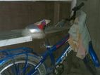 Bicycle for sell