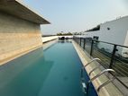 4 Bed Bath Pool + Gym Baridahra Diplomatic Zone Apartment