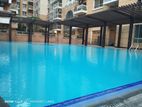 4 bed semi furnished gym pool facilities apartment rent in Gulshan