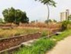 4 Katha South face plot ||300 Feet Expressway || M Block