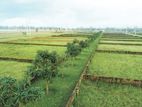 4 Katha South Facing Land For Sale At Purbachal American City