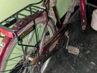 Duranta Bicycle For Sale