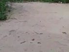 ৪ শতক জায়গা বিক্রি হবে