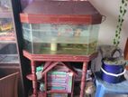 4 ta aquarium sell hoibo