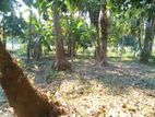 40 শতক জমি বিক্রি