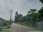 42 Bigah Industrial Land at Dhanua, Gazipur Union, Sreepur,