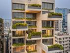 4230 Sqft SEMI FURNISHED APARTMENT FOR RENT IN GULSHAN-2