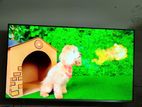 43 Inc Toshiba Tv