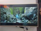 43" Inches LED Android TV