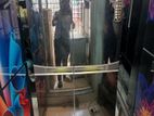 Wni-6a9-gdsd-dd মডেল এর ওয়ালটোন ডাবোলডোর ফিরিজ।