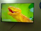 43" Smart Led TV