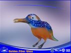 47. Kingfisher - মাছ রাঙা