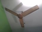 BRB 48'' inch ceiling FAN