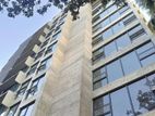 4850 SqFt Luxurious Decorated Furnished Apt: For Rent @ Gulshan(2)