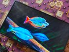 4k LED tv