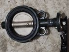 5 inch Butterfly valve