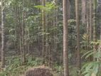৫ কাঠা জমি বিক্রি হবে।
