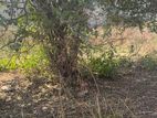 5 Katha jomi, ekhnoi bari korar upojogi, Sabuj chaya housing, Keraniganj