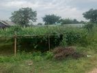 5 Katha Land for Immediate Sale : Best Sector- 11