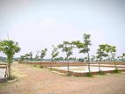 5 katha land sale at Modhu City