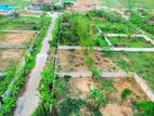 5 katha plot close to 300ft. In RAJUK purbachal