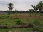 5 Katha Plot in Purbachal Sector-7