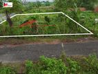 5 Katha Plot Near Beautiful Lake.