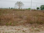 5 Katha Plot Sale N Block Bashundhara !!