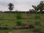 5 Katha Sector #7