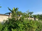 5 Katha Sell at Reasonable Price @ Sector- 16 || Purbachal