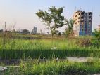 5 Katha South Face Plot / Block : M 2100 S/l - in Bashundhara R/a