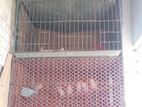 Bird Cage for Sale