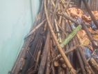 ৫ মণ বাঁশের শুকনো লাকড়ি